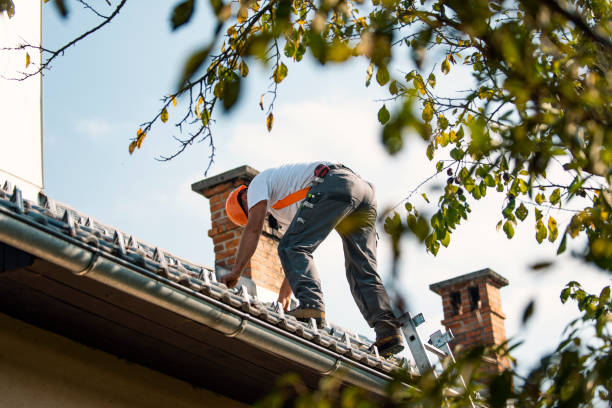 Best Gutter Installation and Repair  in Edgemoor, DE