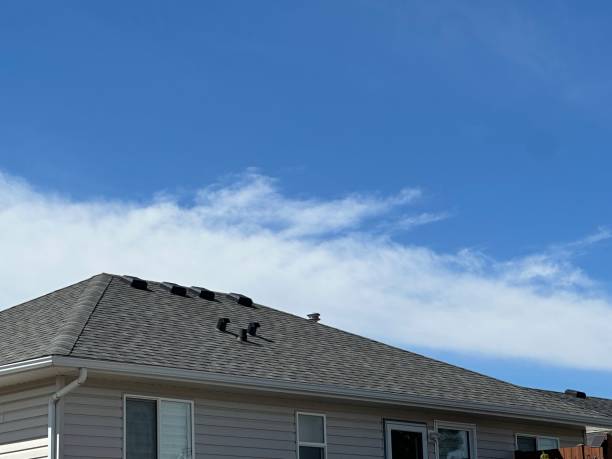 Fast & Reliable Emergency Roof Repairs in Edgemoor, DE